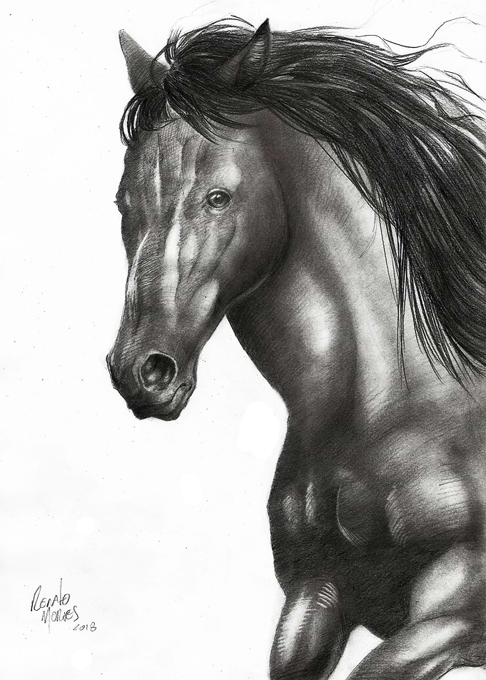 Horse 2