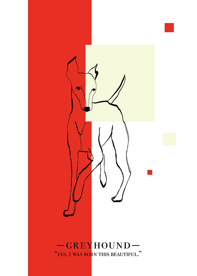 Greyhound