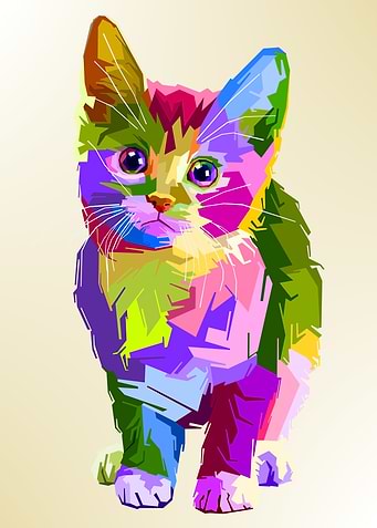 adorable cat on pop art