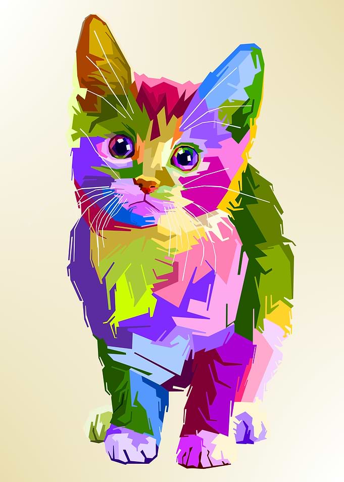 adorable cat on pop art