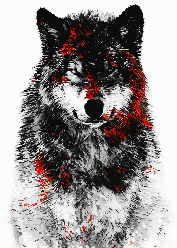 Wolf Red Black