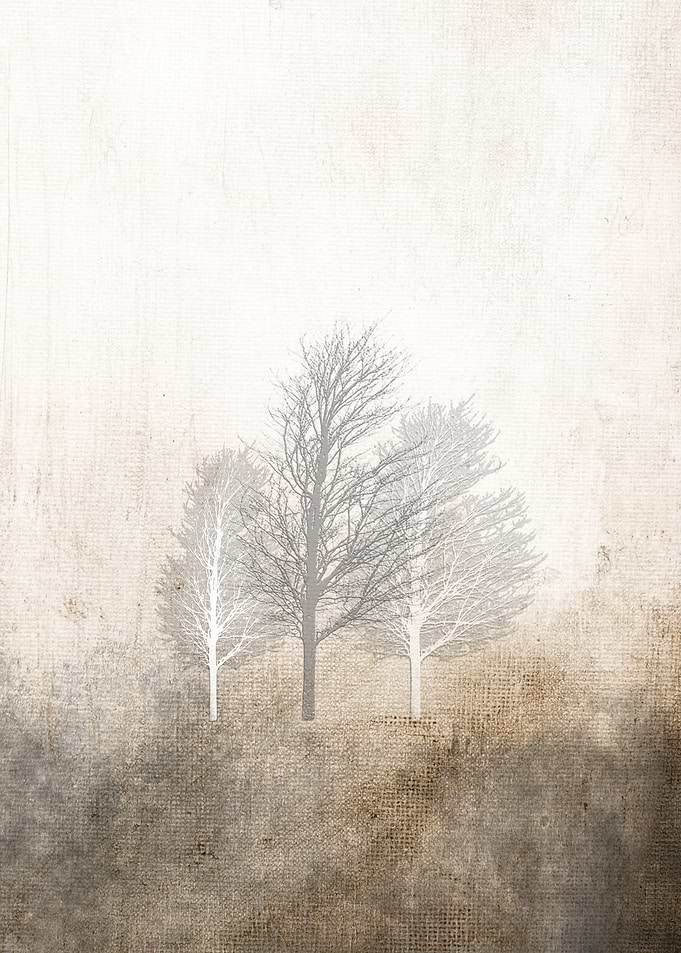 3 TREES IN WINTER HUG-1