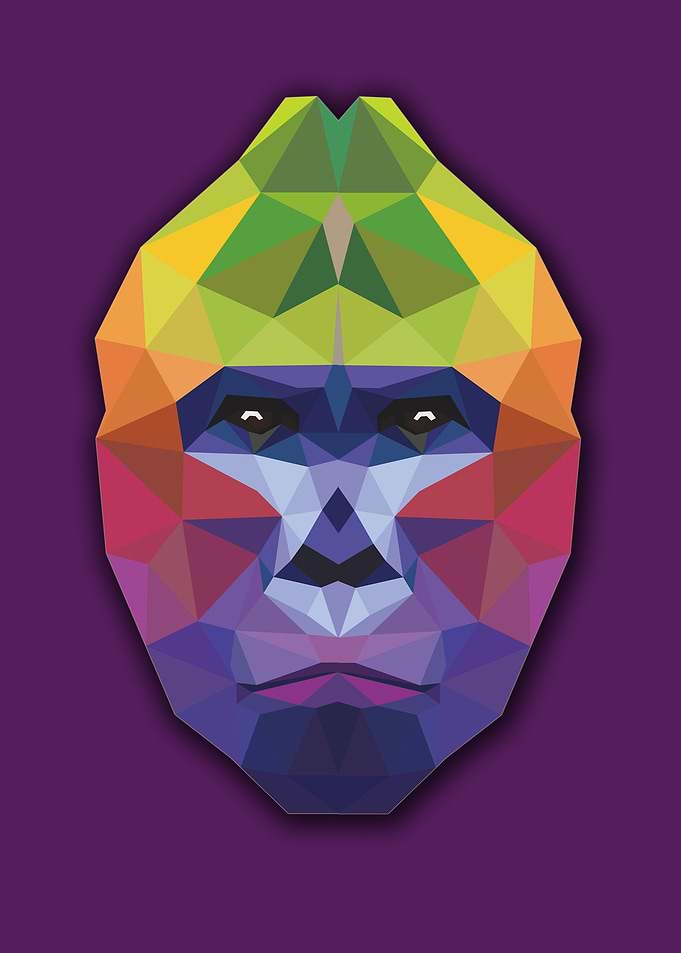 Gorila lowpoly geometric