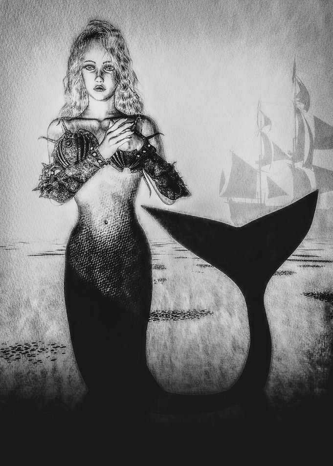 Songs Of A Sailor