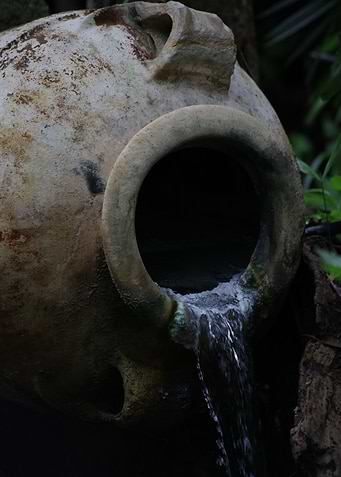 Serene garden