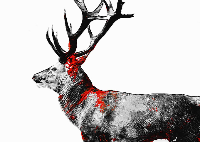 Deer Red Black