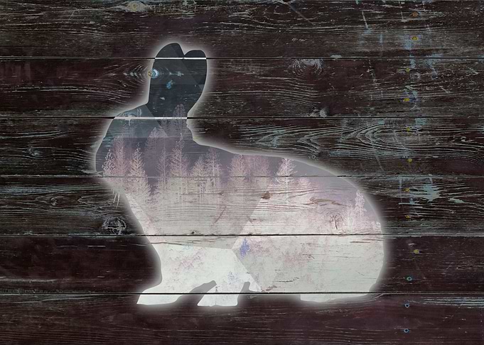 BUNNY reverse on the wood