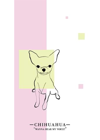 Chihuahua