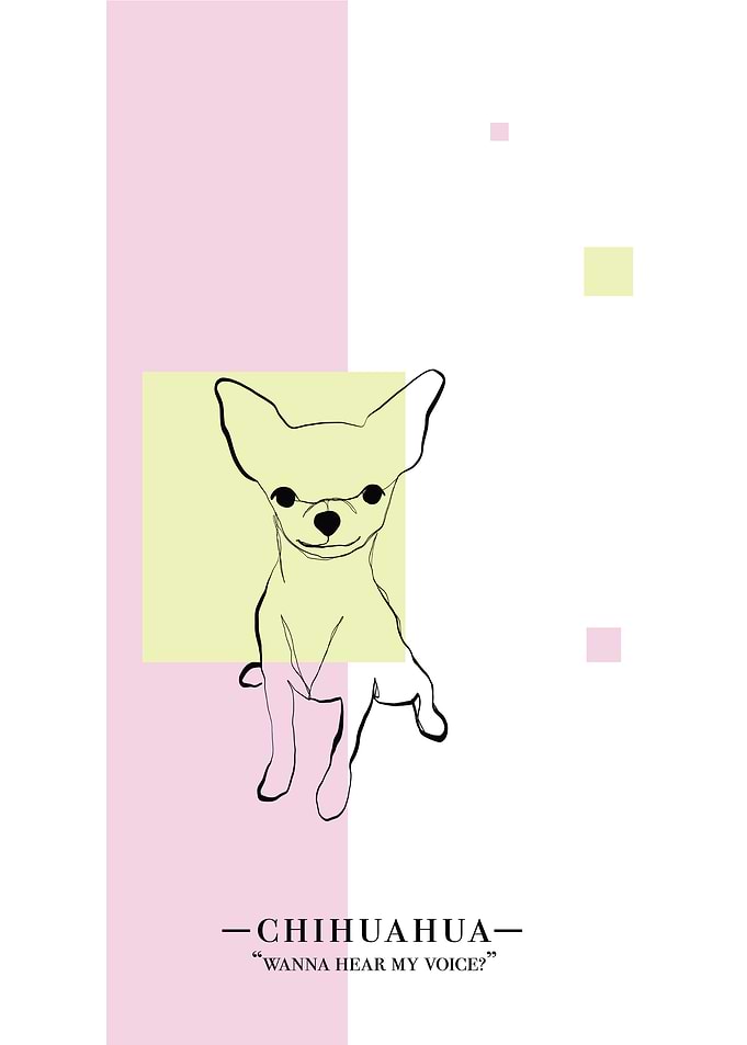 Chihuahua
