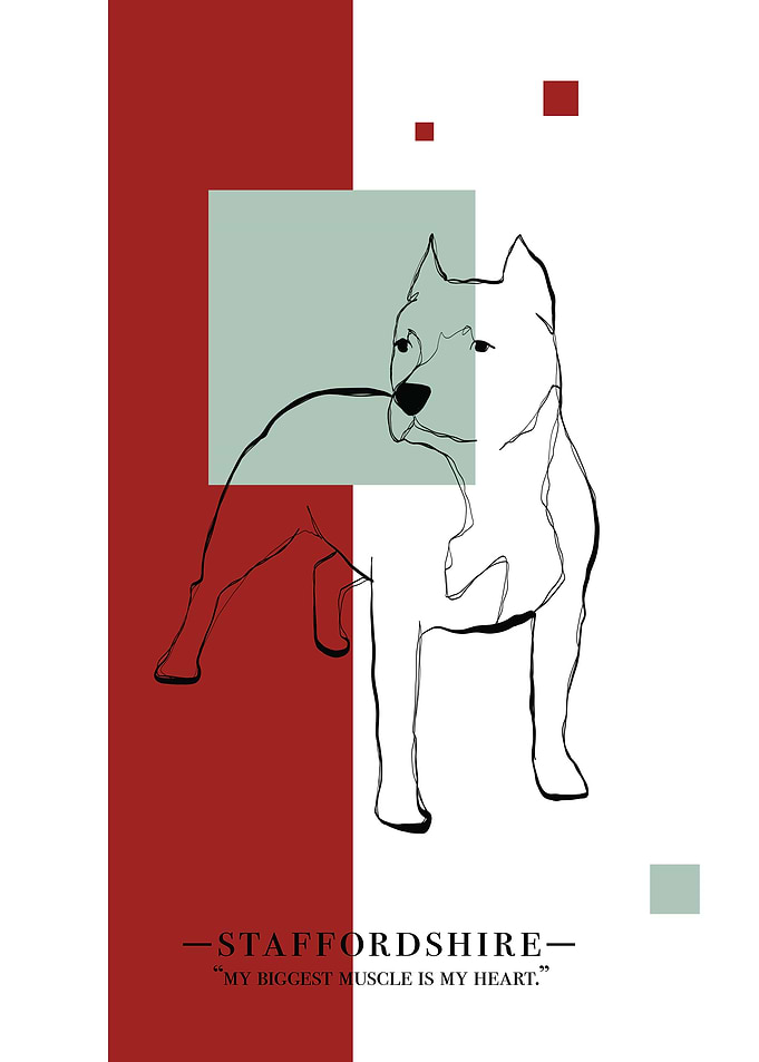 Staffordshire terrier