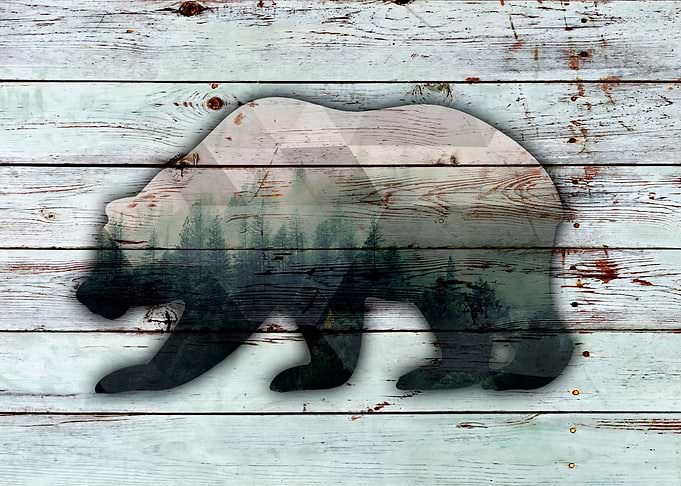 BEAR in the wood