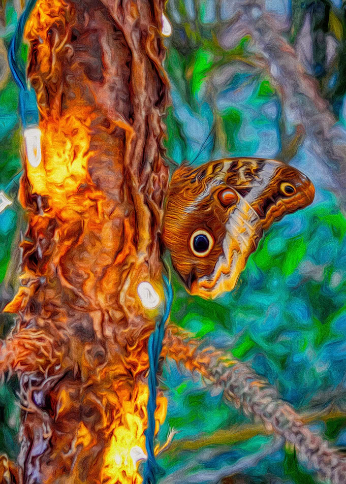 Butterfly with Lights