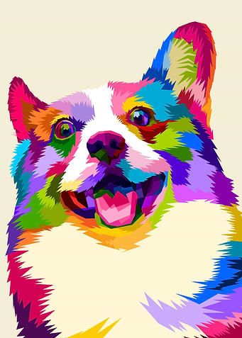 corgi on pop art