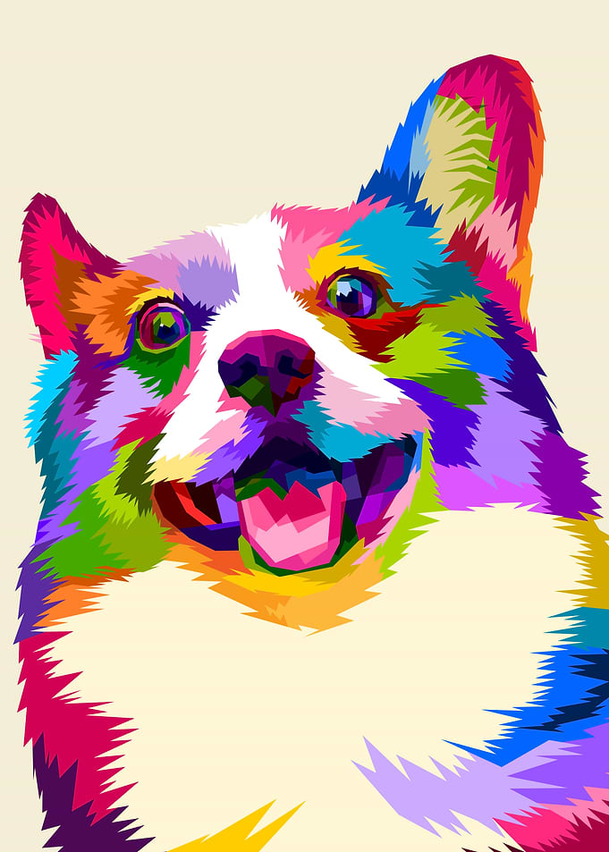 corgi on pop art