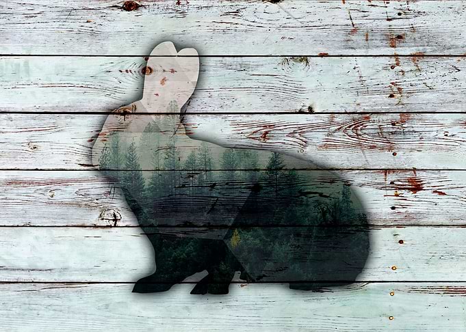BUNNY on wood