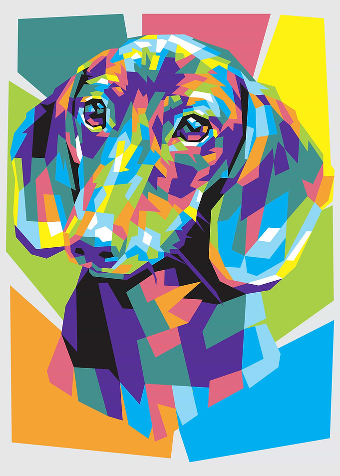 Dachshund