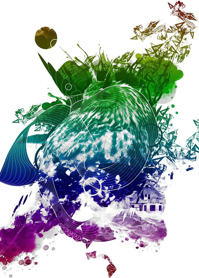 owl 2