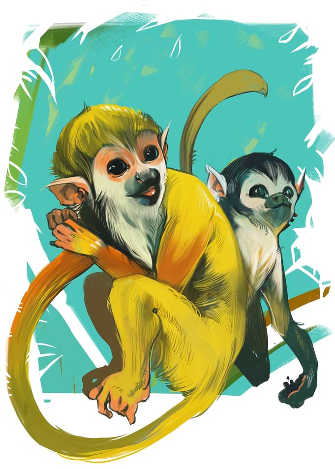Squirrel monkeys