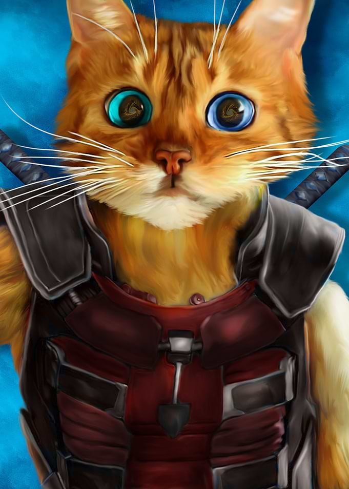 Kitty Assassin