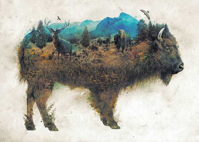 Buffalo Bison Surrealism
