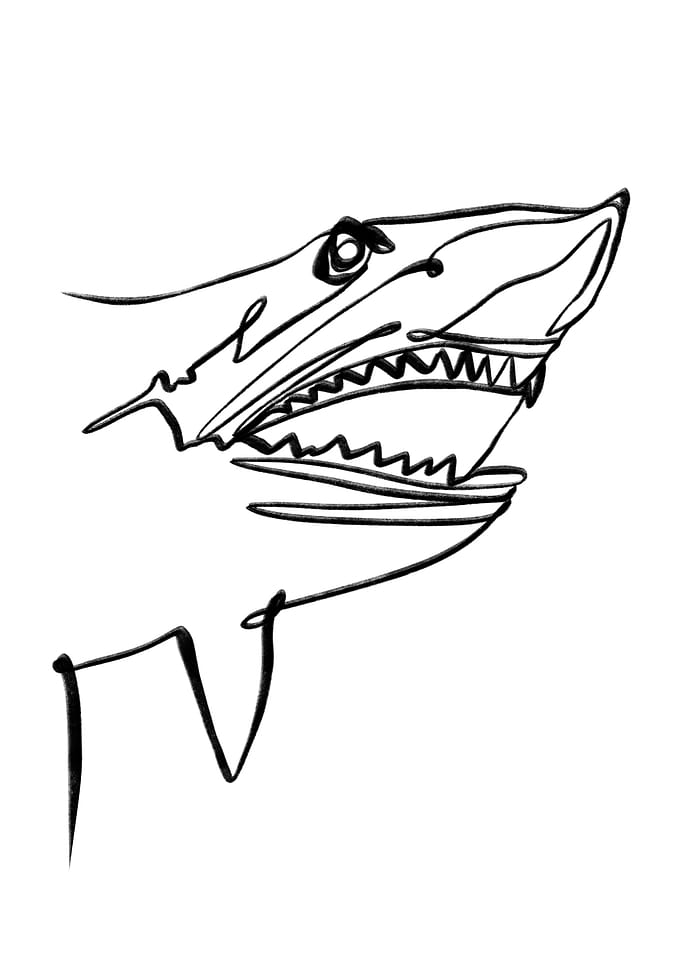 Megalodon