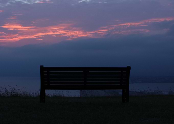 The Bench