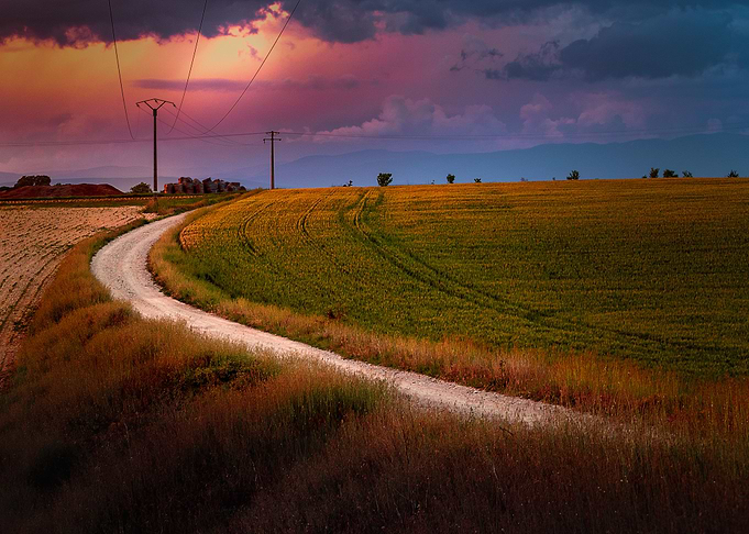 Road in Valensole
