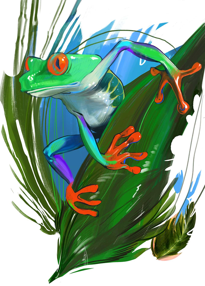 Agalychnis