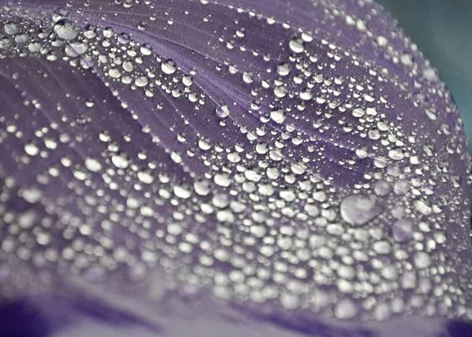 Purple Dew Energy Beads
