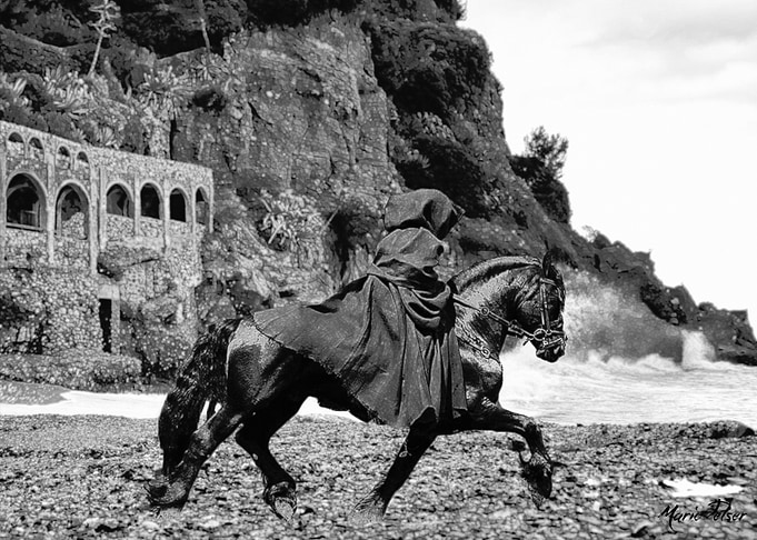 Rider on Patrol