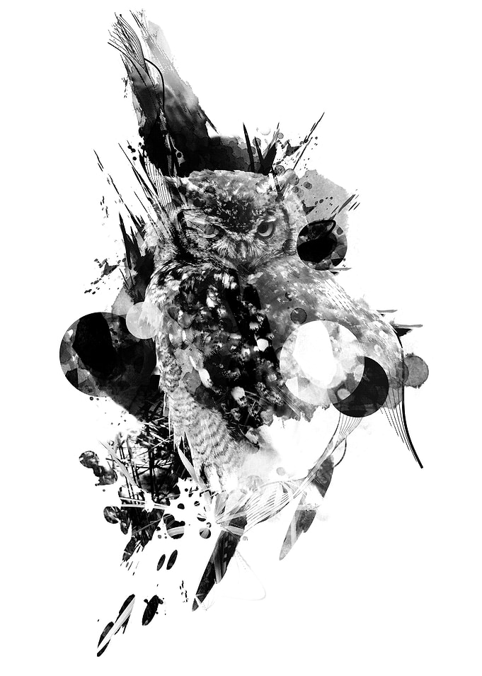 owl 3