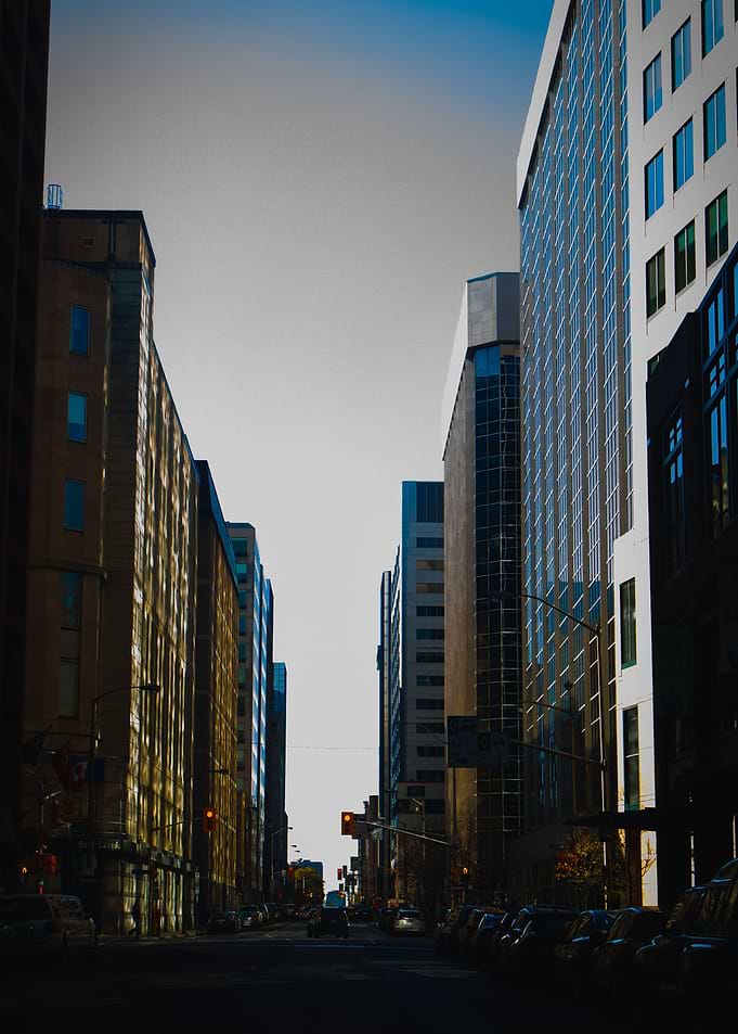 THE URBAN WILDERNESS