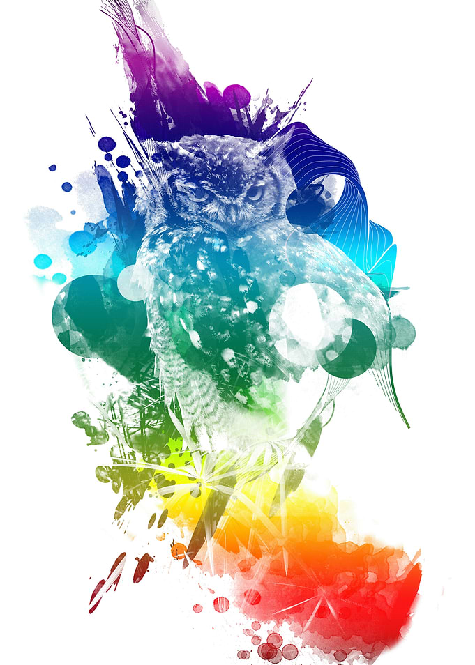 owl