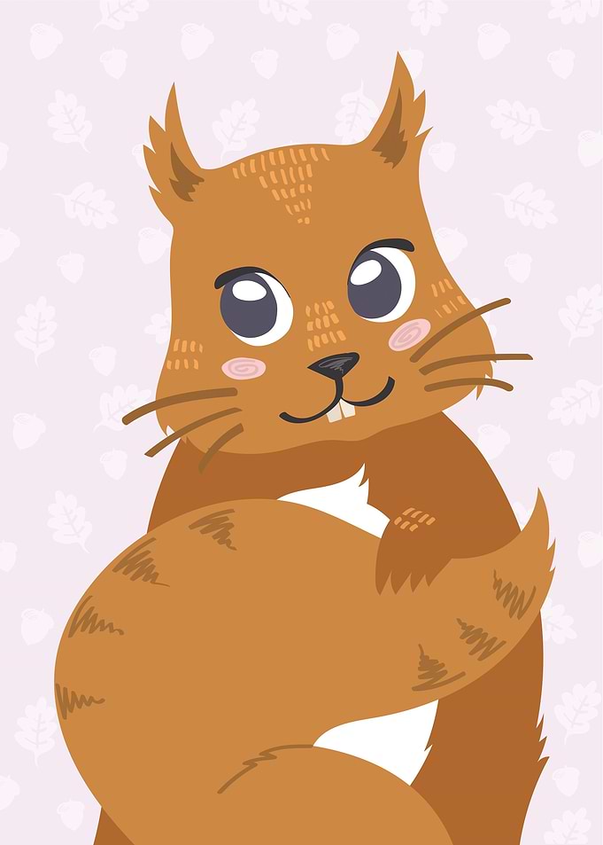 Cute Squirrel