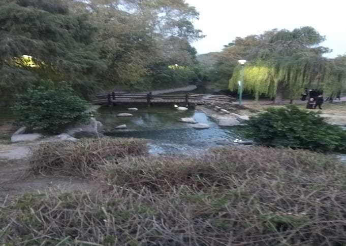Bosque Urbano
