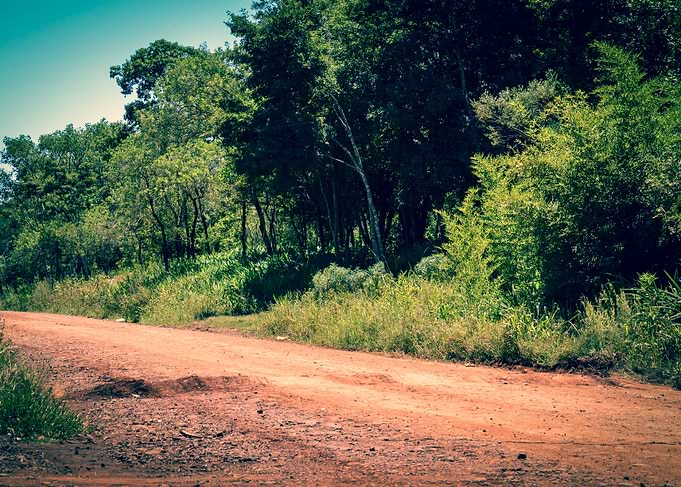 Camino Misiones