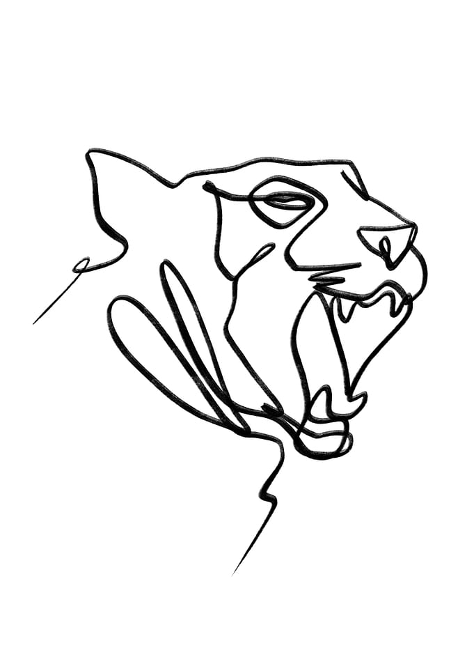 Wildcat