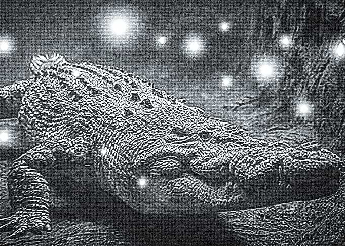 Light Seeking
