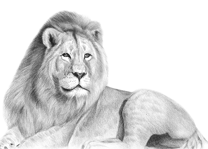 King of the Jungle