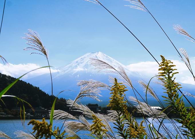 Fuji lake