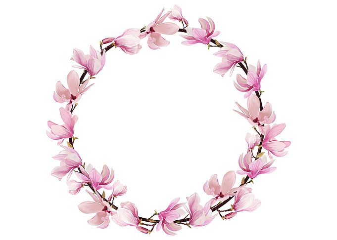 magnolia flowers frame