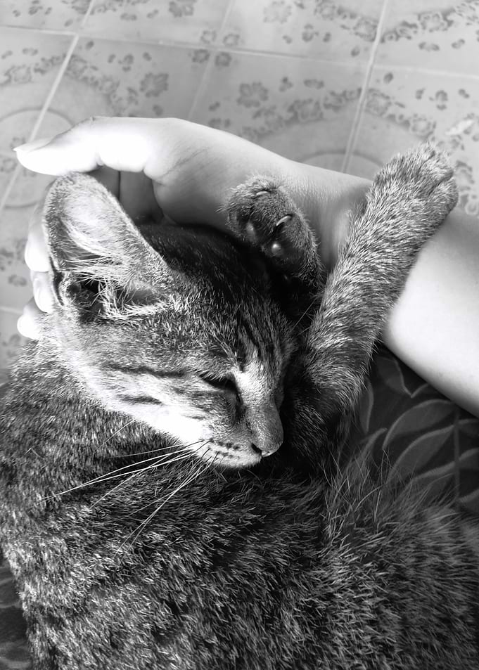 This is Love