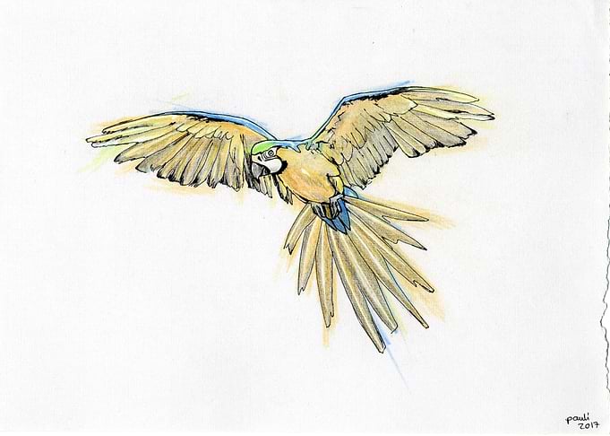 flight