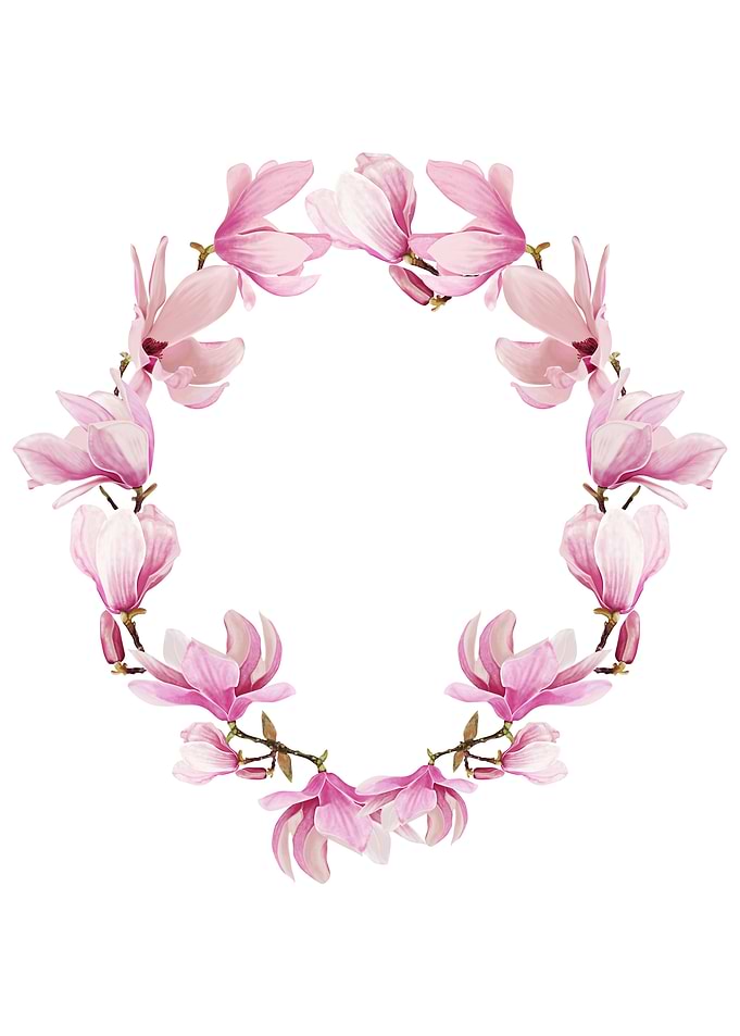 magnolia flowers frame