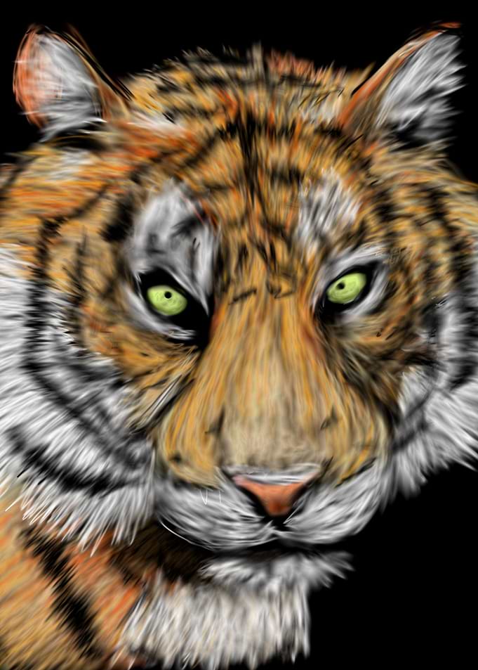Tiger Portrait