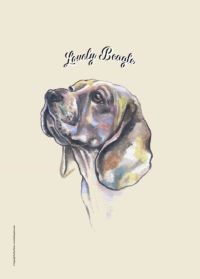 Lovely Beagle