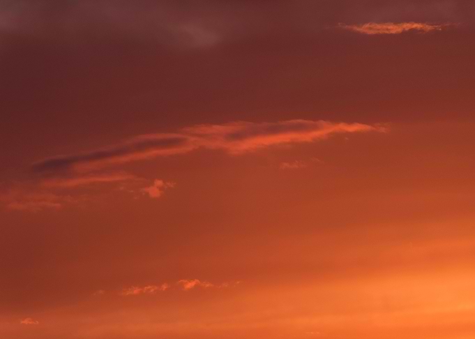 Orange red and brown