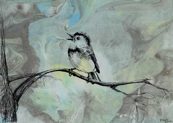 bird by swirl