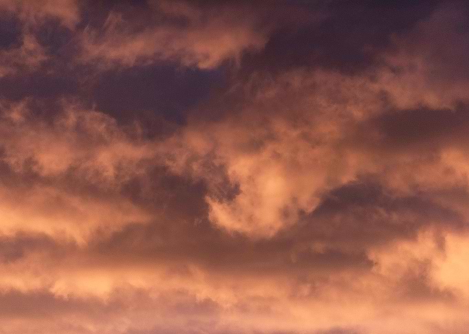 Shades of orange
