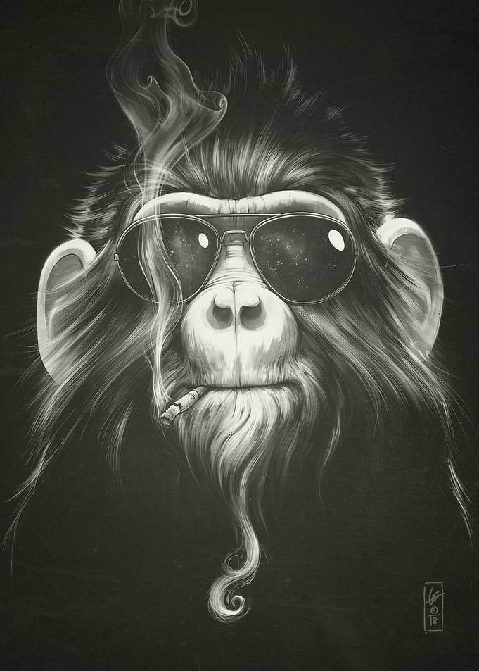 Senor Smoke